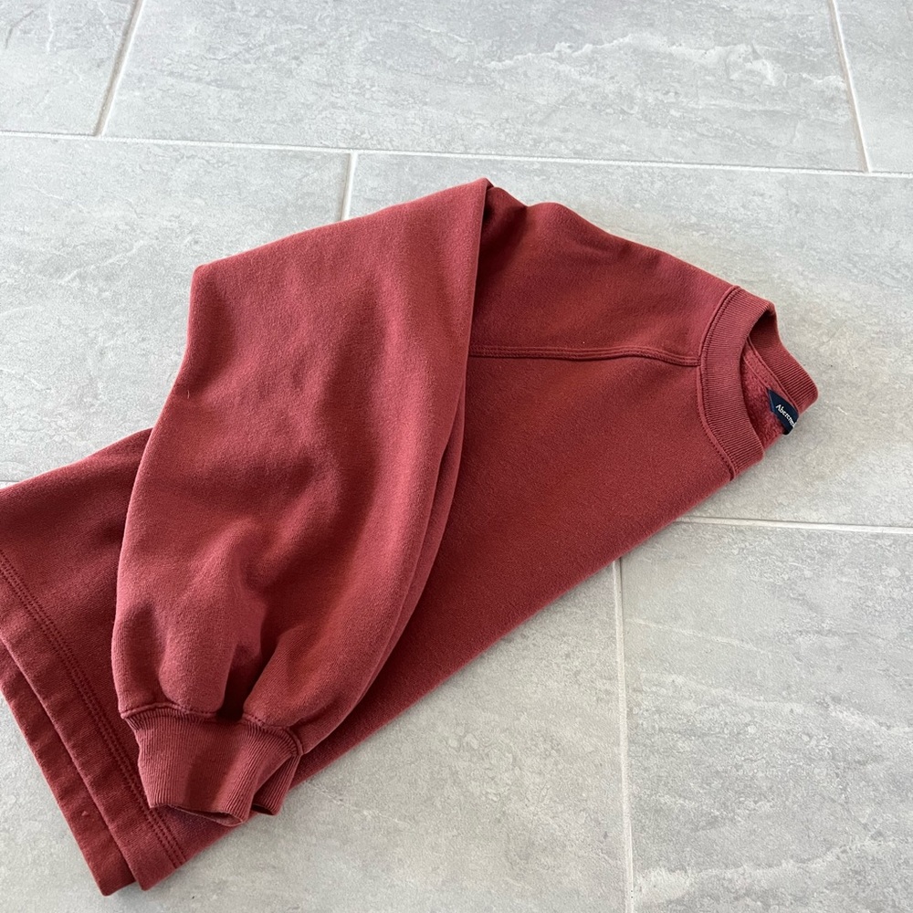Abercrombie and Fitch bell sleeve crop sweatshirt